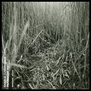 精品99在线观看
