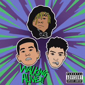 精品99在线观看
