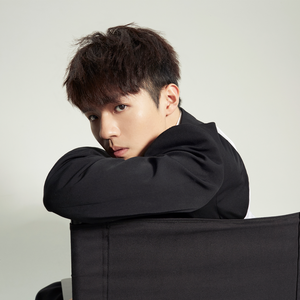 精品99在线观看
