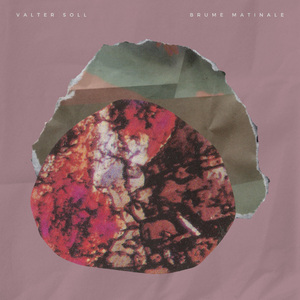 精品99在线观看
